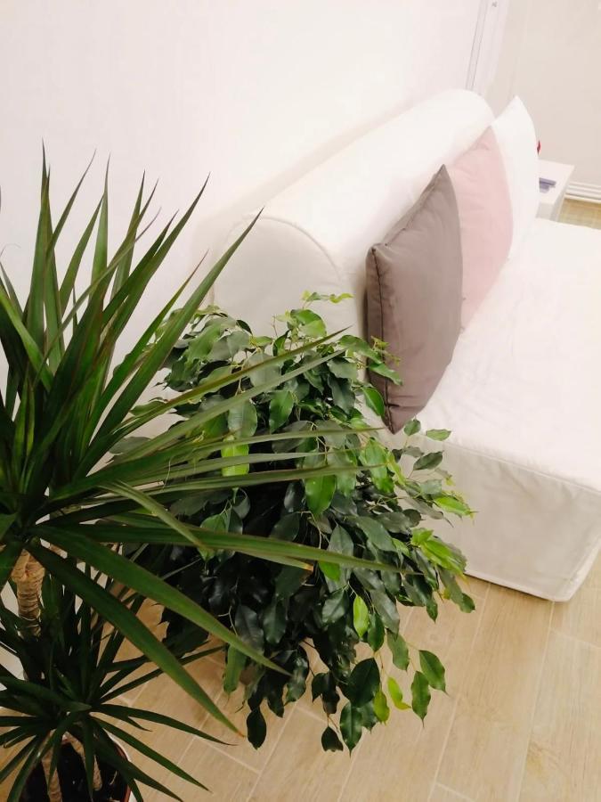 Maison Mele Luxury Apartment ナポリ エクステリア 写真